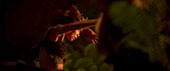 Witchboard movie Movie Still 18