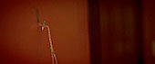Witchboard movie Movie Still 5