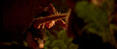Witchboard movie Movie Still 18