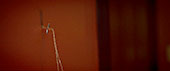 Witchboard movie Movie Still 5